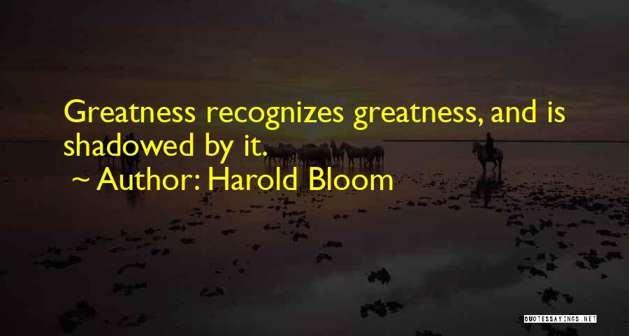 Harold Bloom Quotes 1539190