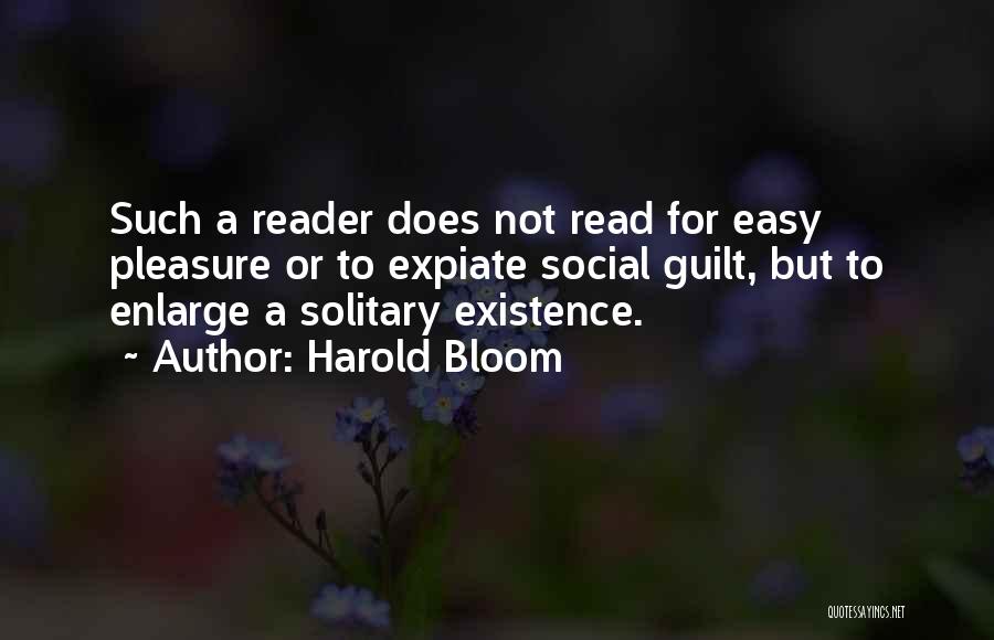 Harold Bloom Quotes 1803287