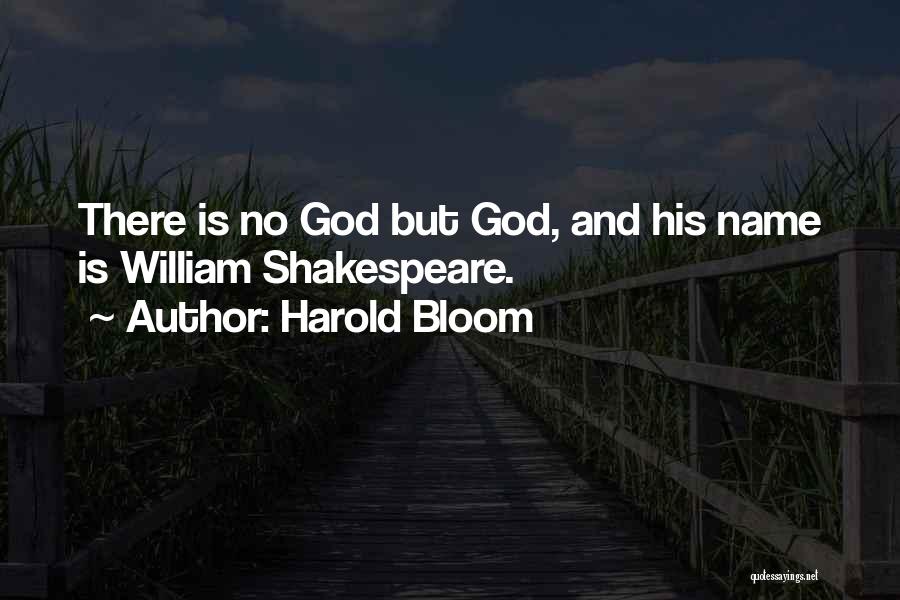 Harold Bloom Quotes 319669