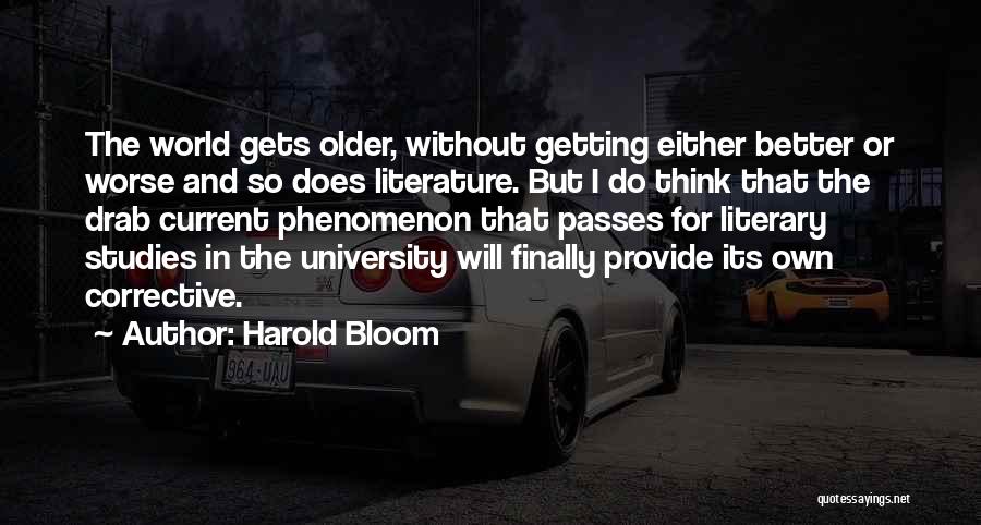 Harold Bloom Quotes 796223