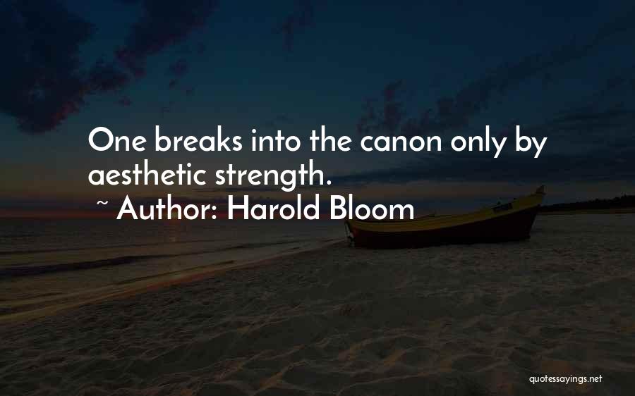 Harold Bloom Quotes 975691