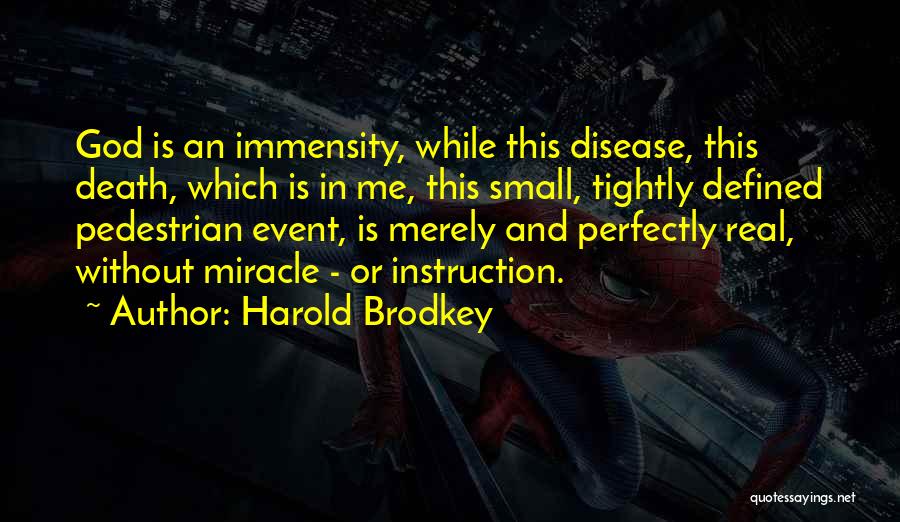Harold Brodkey Quotes 1545477