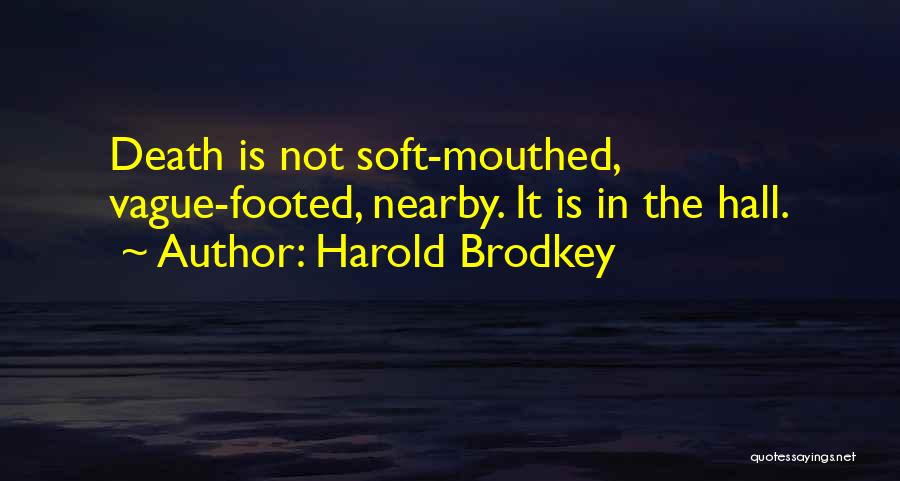 Harold Brodkey Quotes 1648645
