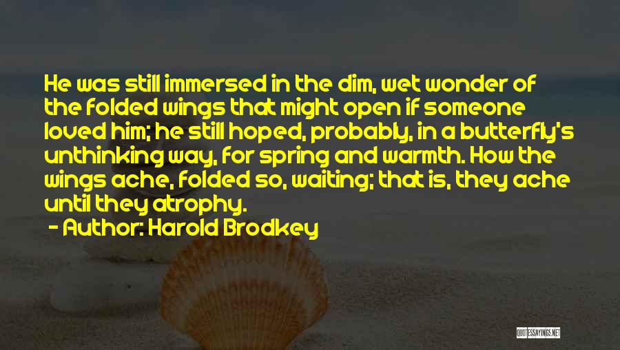 Harold Brodkey Quotes 1697511