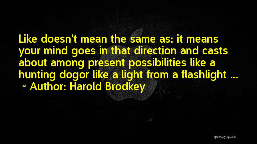 Harold Brodkey Quotes 382547