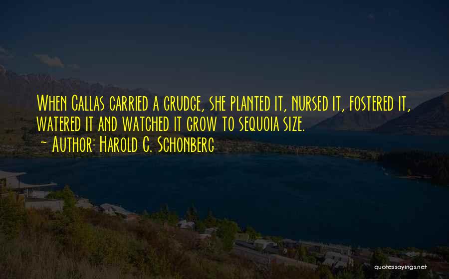 Harold C. Schonberg Quotes 1136737