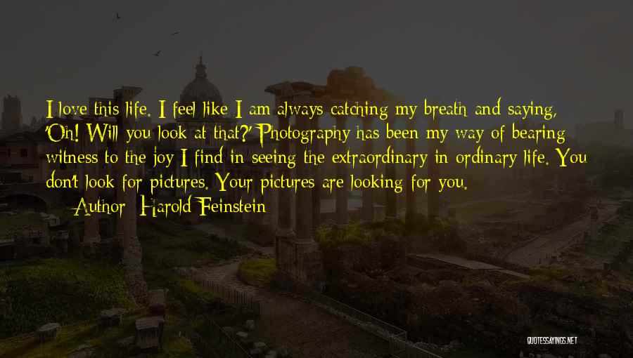 Harold Feinstein Quotes 1947500