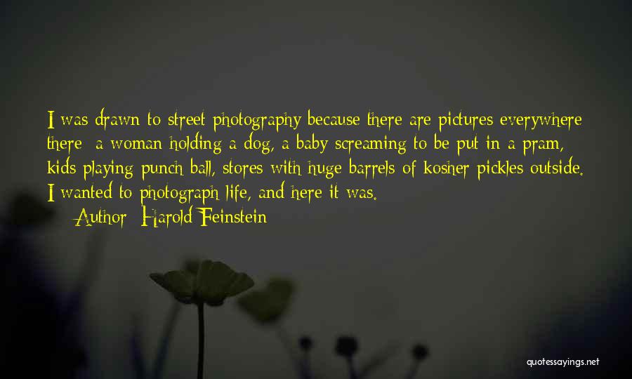 Harold Feinstein Quotes 281594