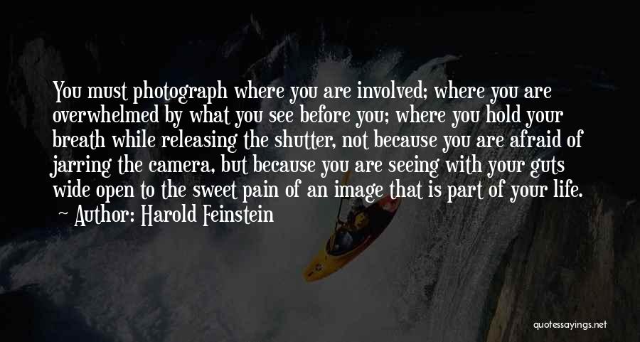 Harold Feinstein Quotes 501081