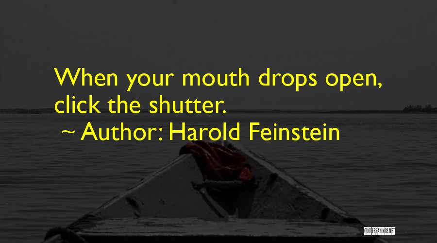 Harold Feinstein Quotes 846158