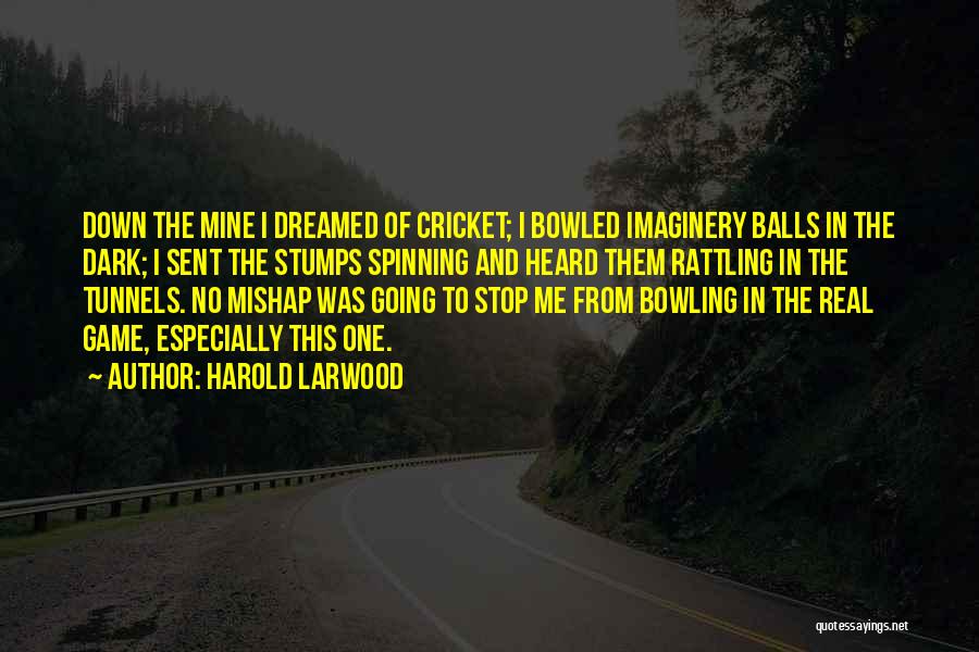 Harold Larwood Quotes 1823620