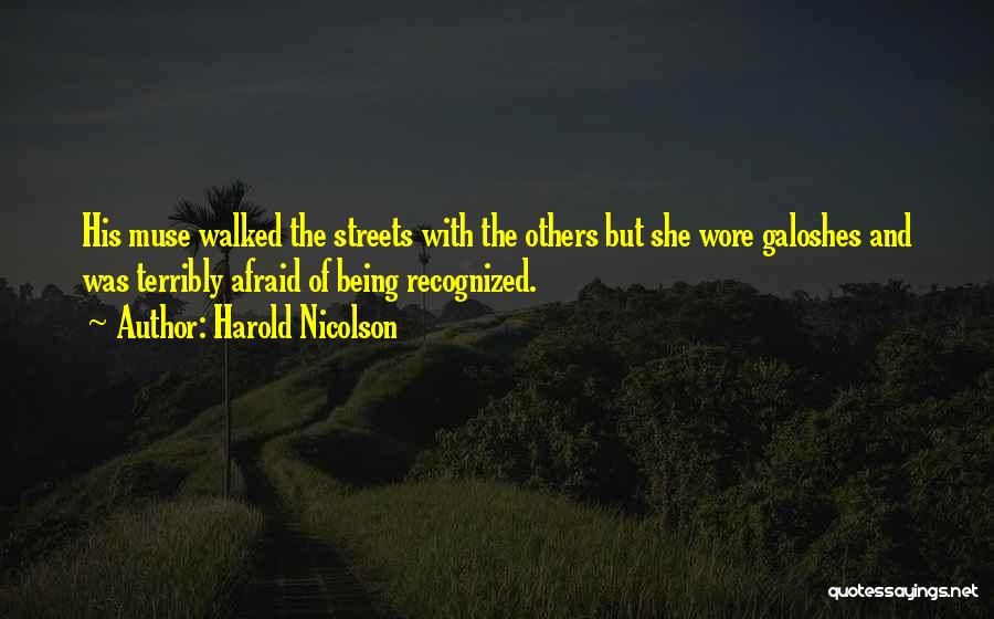 Harold Nicolson Quotes 451155