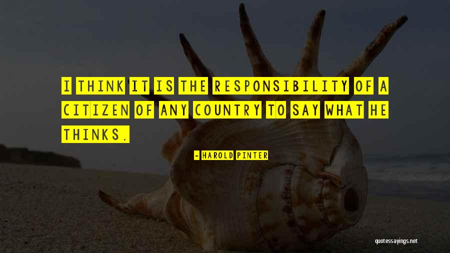 Harold Pinter Quotes 1043209 Harold Pinter Quotes 1043209