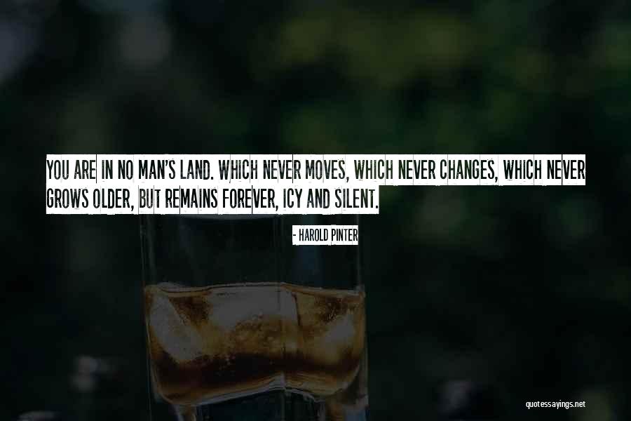 Harold Pinter Quotes 1181022 Harold Pinter Quotes 1181022