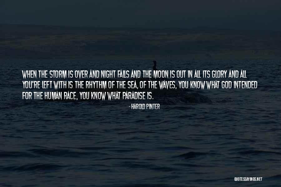 Harold Pinter Quotes 1304388 Harold Pinter Quotes 1304388