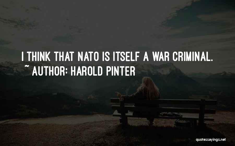 Harold Pinter Quotes 1346104
