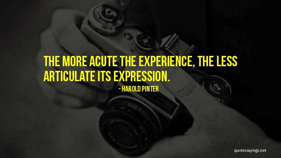 Harold Pinter Quotes 1369513 Harold Pinter Quotes 1369513
