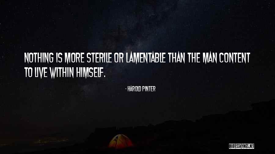 Harold Pinter Quotes 1378964 Harold Pinter Quotes 1378964