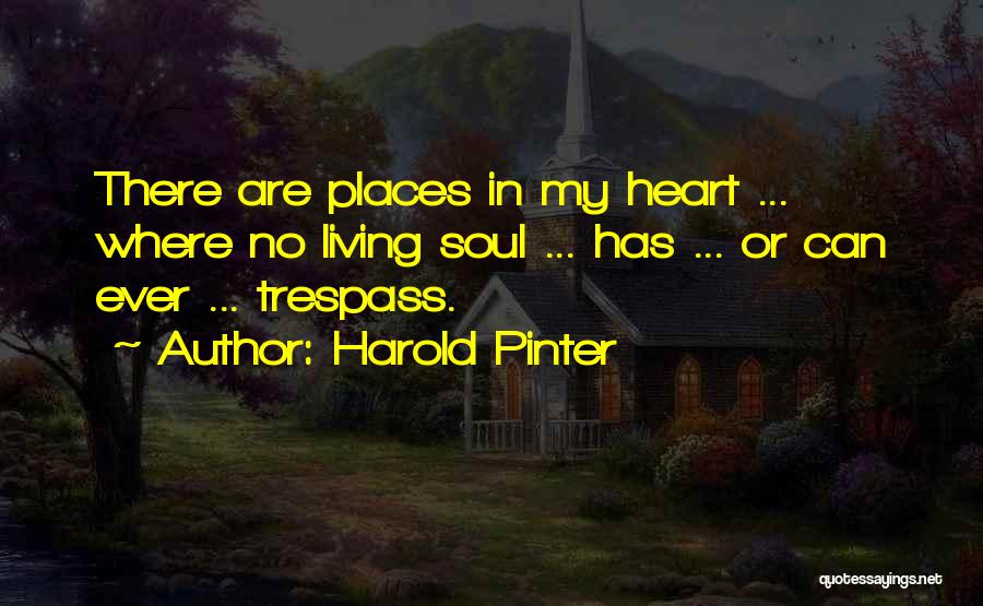 Harold Pinter Quotes 1407939