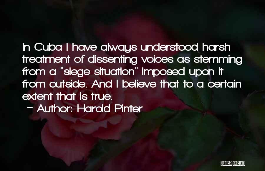 Harold Pinter Quotes 1582846