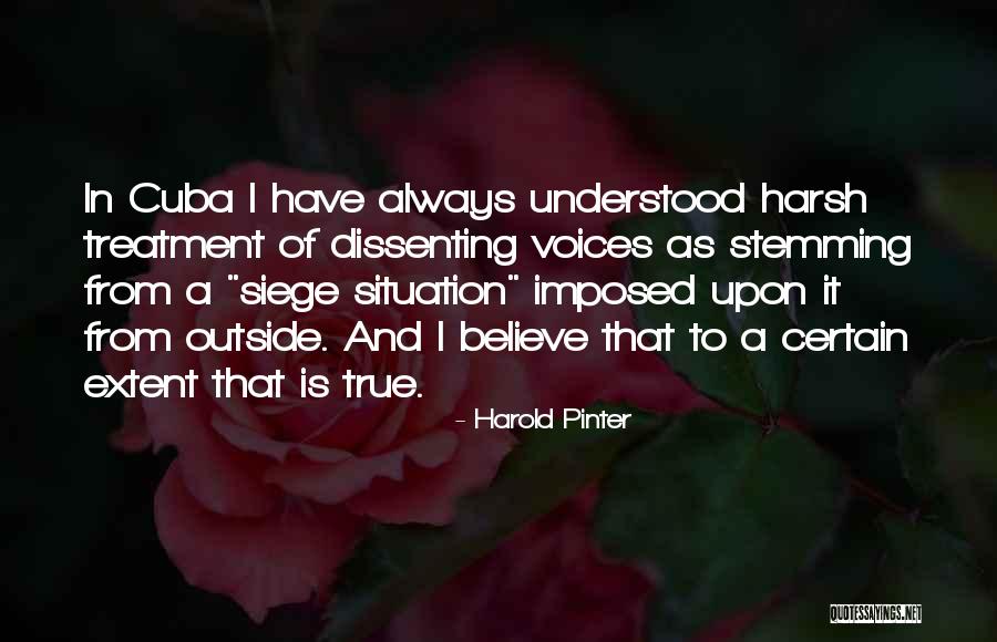 Harold Pinter Quotes 1582846