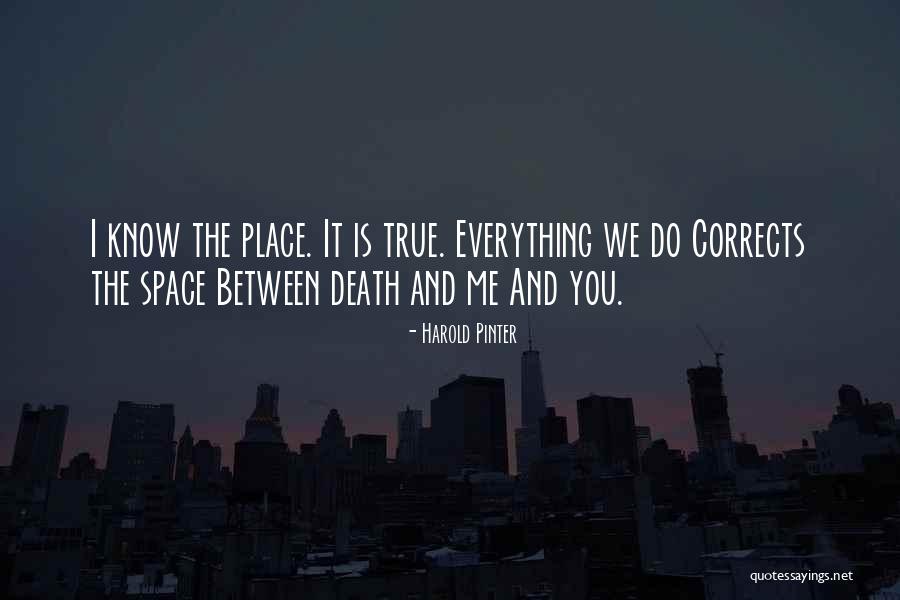 Harold Pinter Quotes 1859050 Harold Pinter Quotes 1859050