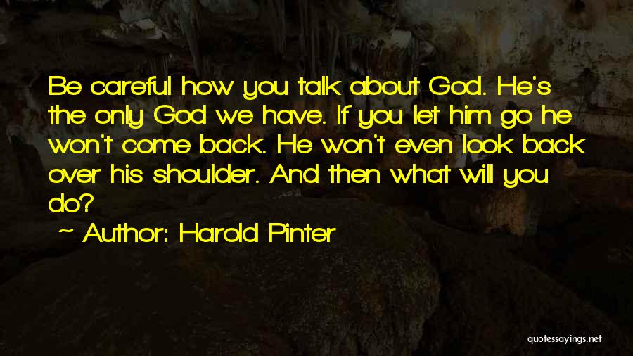 Harold Pinter Quotes 2001309