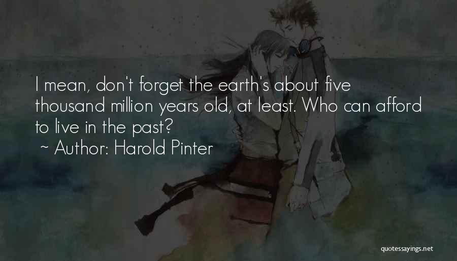 Harold Pinter Quotes 2091354