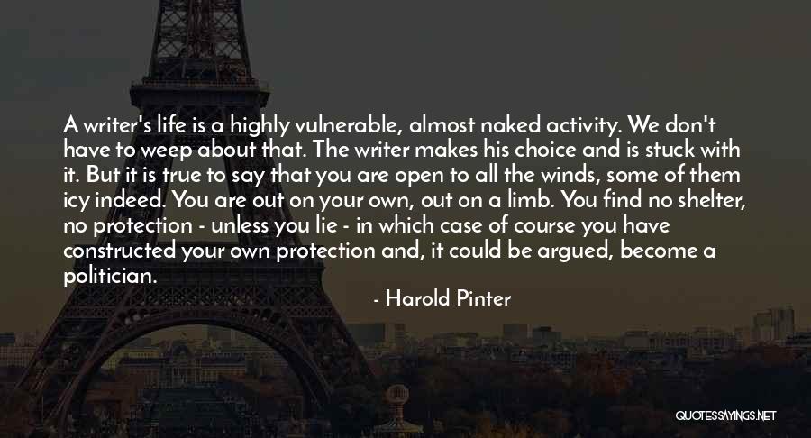 Harold Pinter Quotes 2137712