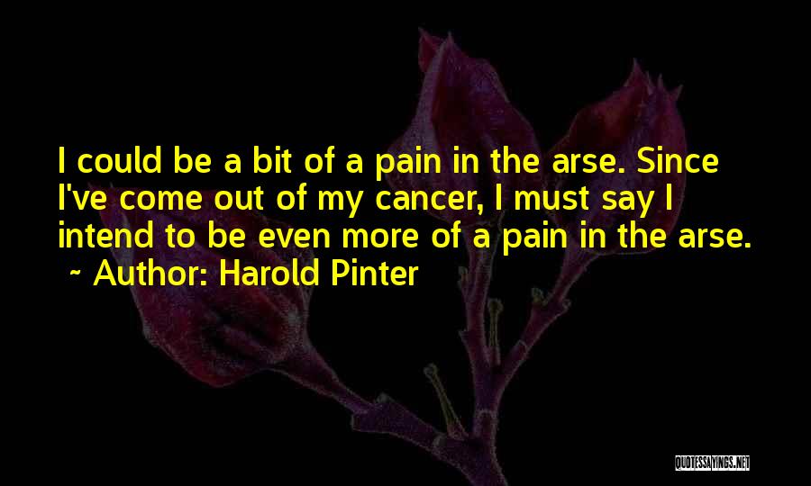 Harold Pinter Quotes 446051