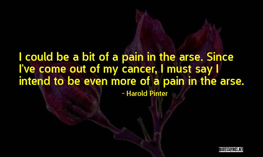 Harold Pinter Quotes 446051