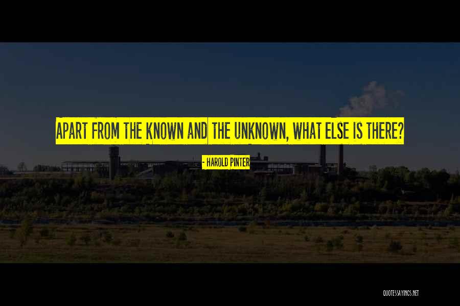 Harold Pinter Quotes 676277 Harold Pinter Quotes 676277
