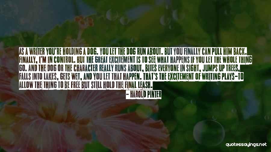 Harold Pinter Quotes 682672 Harold Pinter Quotes 682672