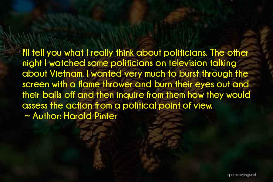 Harold Pinter Quotes 759843