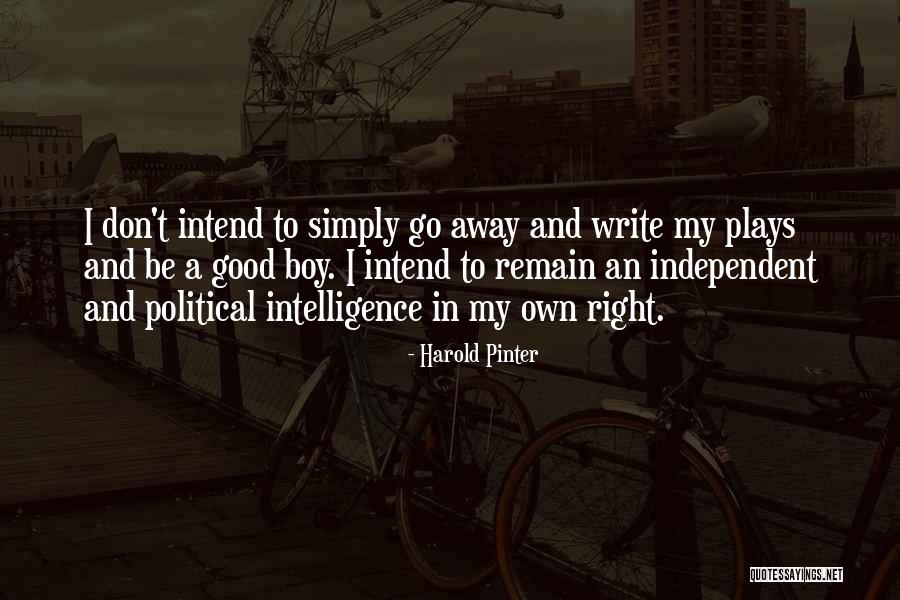 Harold Pinter Quotes 895828 Harold Pinter Quotes 895828