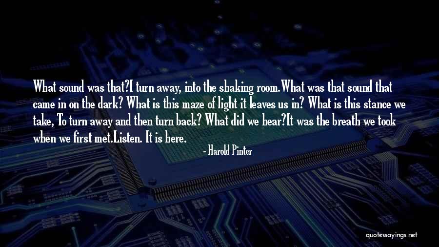 Harold Pinter Quotes 898474 Harold Pinter Quotes 898474