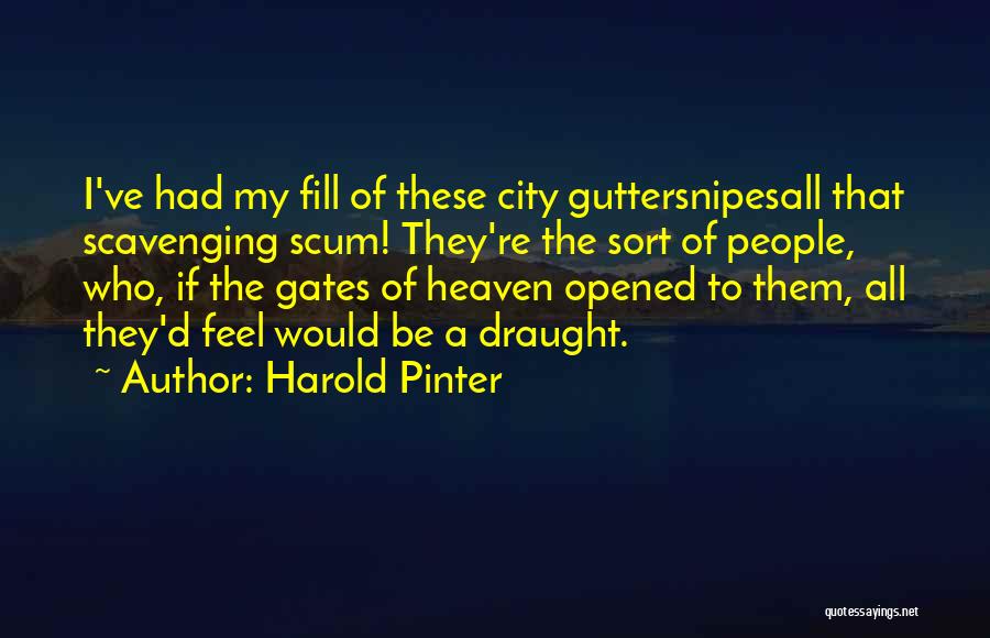 Harold Pinter Quotes 952647