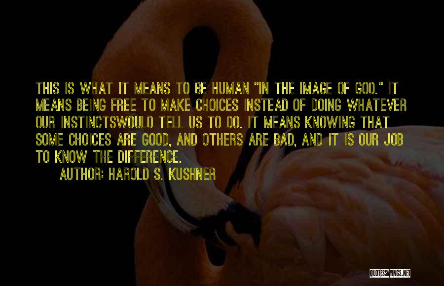 Harold S. Kushner Quotes 1385094