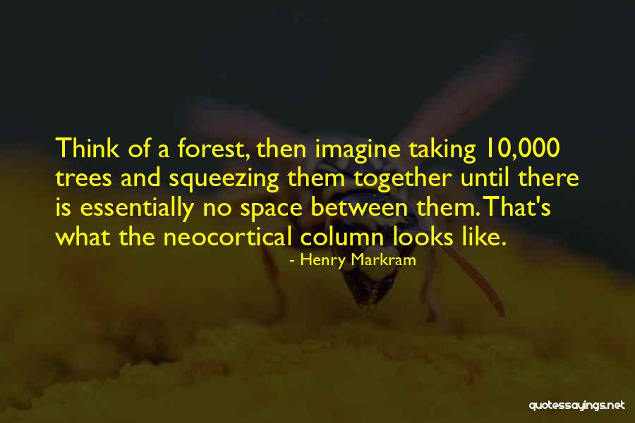 Haroon Rasheed Quotes By Henry Markram Haroon Rasheed Quotes By Henry Markram