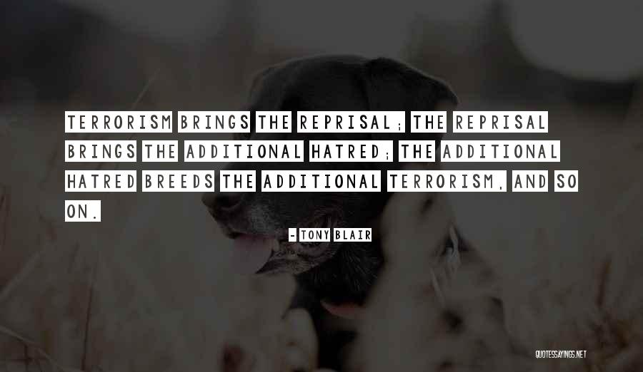 Haroon Shorey Quotes By Tony Blair Haroon Shorey Quotes By Tony Blair