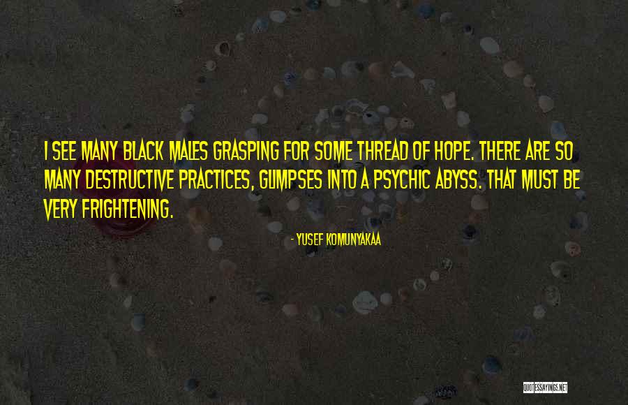 Harpie Deck Quotes By Yusef Komunyakaa Harpie Deck Quotes By Yusef Komunyakaa