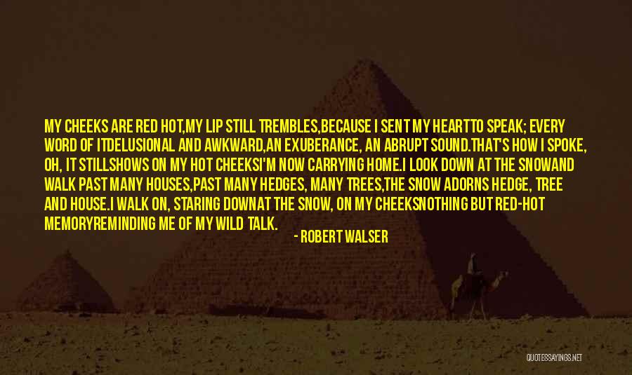 Harpootlian Attorneys Quotes By Robert Walser Harpootlian Attorneys Quotes By Robert Walser