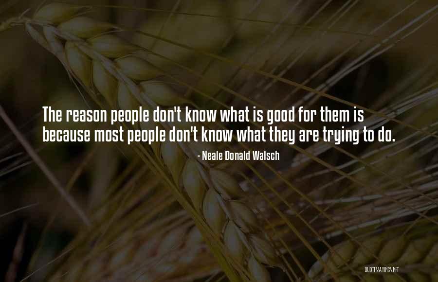 Harrelsons Own Cbd Quotes By Neale Donald Walsch Harrelsons Own Cbd Quotes By Neale Donald Walsch