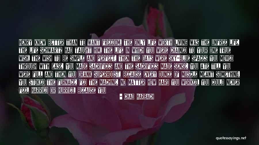 Harried Quotes By Chad Harbach Harried Quotes By Chad Harbach
