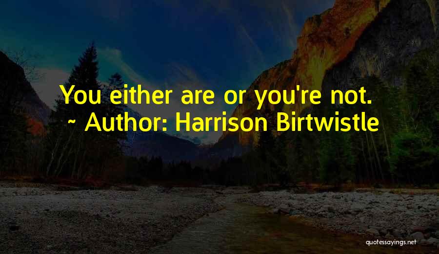 Harrison Birtwistle Quotes 2236100