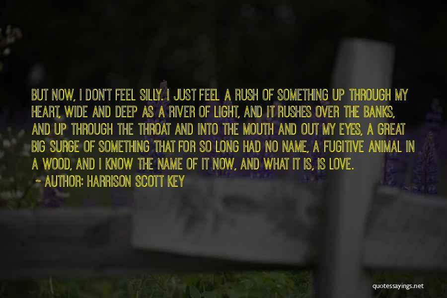 Harrison Scott Key Quotes 138348