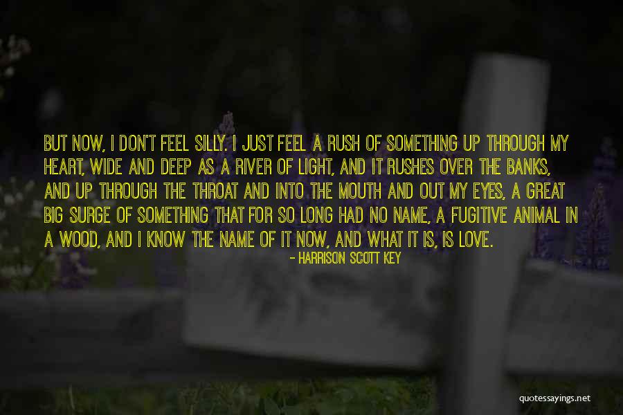 Harrison Scott Key Quotes 138348 Harrison Scott Key Quotes 138348
