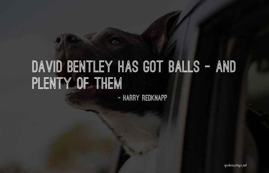 Harry And David Quotes By Harry Redknapp
