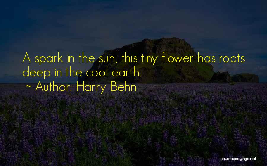 Harry Behn Quotes 1350019