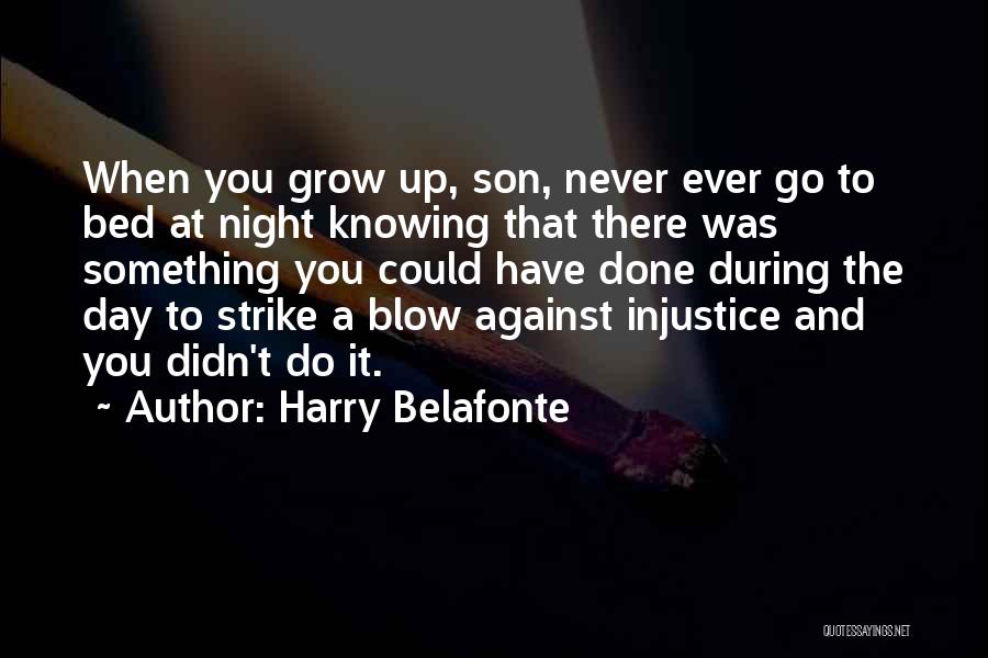 Harry Belafonte Quotes 1709984